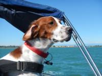 Aila's Galerie Aila's Galerie