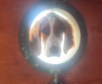 Neugierig? Neugierig?