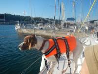 Aila's Galerie Aila's Galerie